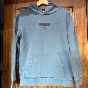 Puma Men's Slate Blue Hoodie
